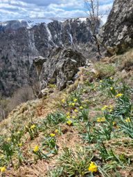 Schlucht Hohneck