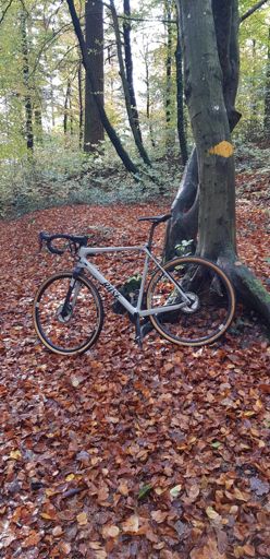 Ersti rundi mitem neue Cyclocross