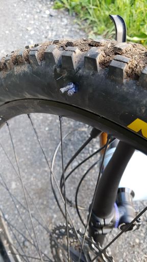 Wie aus dem Bilderbuch 🤓