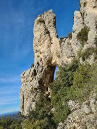 Le crane de Colombier