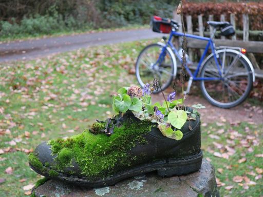 Denkt dran, bald ist Nikolaus!🎅