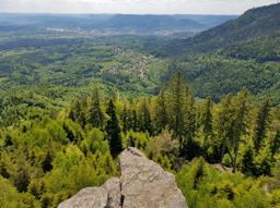 Balade dans l’Ormont