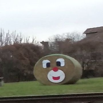 Elsőre nyuszinak néztem