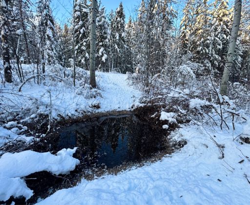 Remaining high water crossing Rattlesnake trail. 