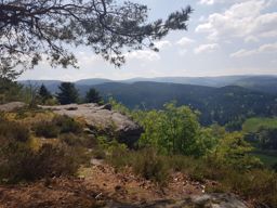 Dans les coins de Dabo