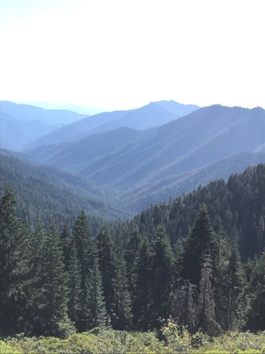 Bakers boyhood backyard