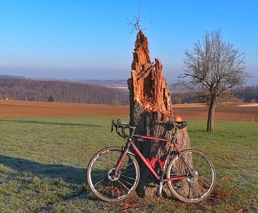Hohe Warte Heimerdingen. Leider ohne Baum. Im Hintergrund Nussdorf. 😊