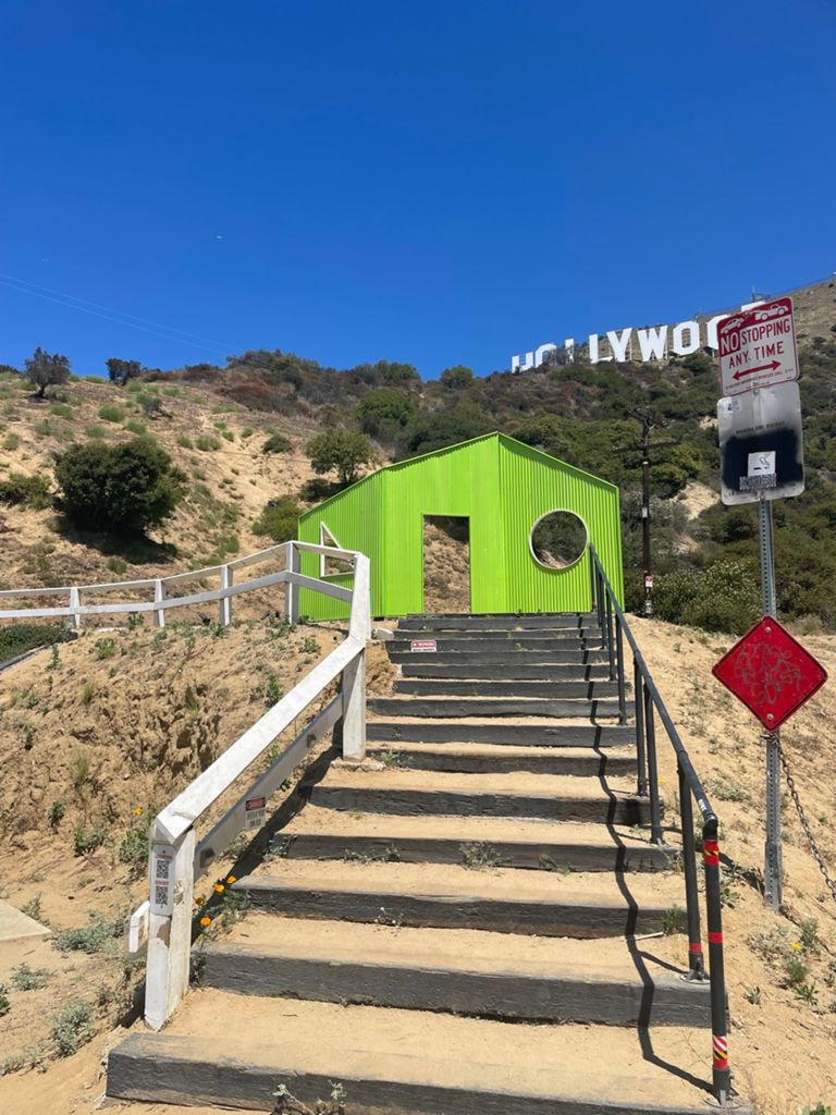 NBB run - Lake Hollywood: фото 95