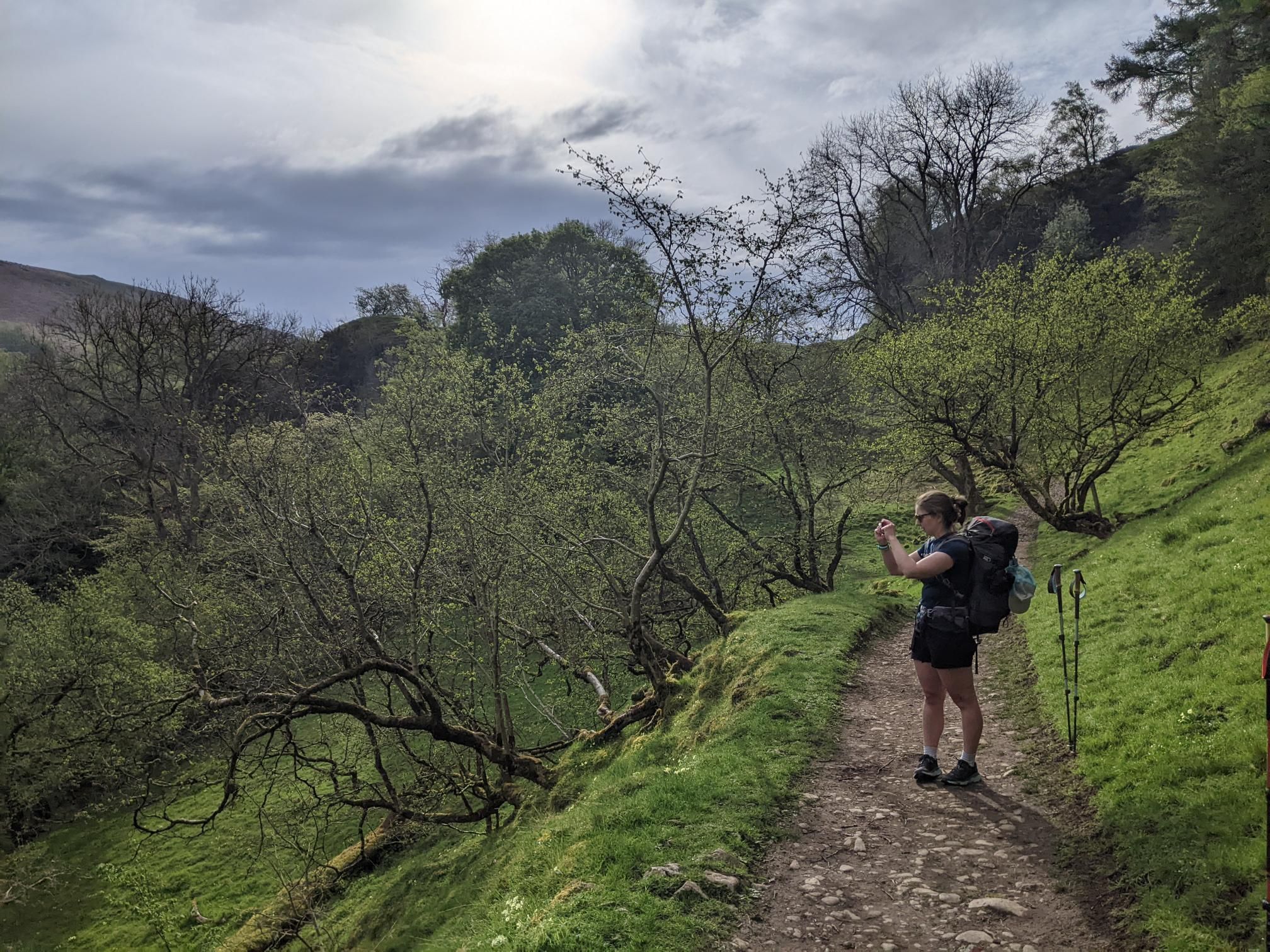 Herriot Way day 3 photo 1