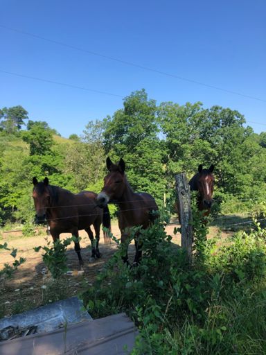 You look to converse with anything on a long solo ride