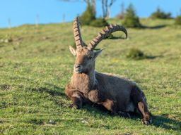 Creux du van, gorges de l’Areuse, retour par le dos d’âne