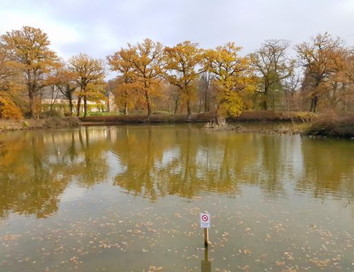 Hunde baden verboten!