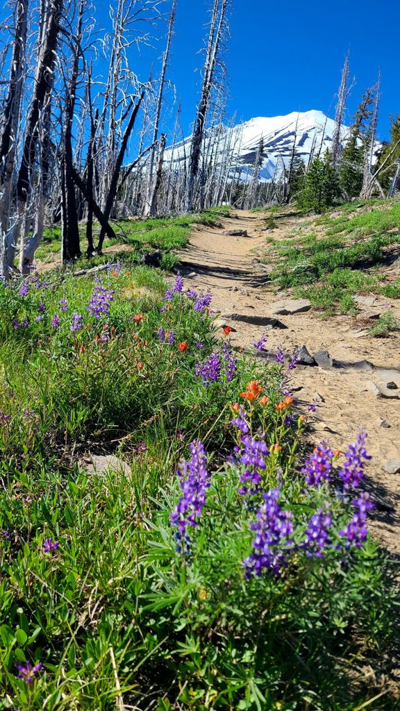 Double-click to expand Mt. Adams | SW Chutes — photo 1