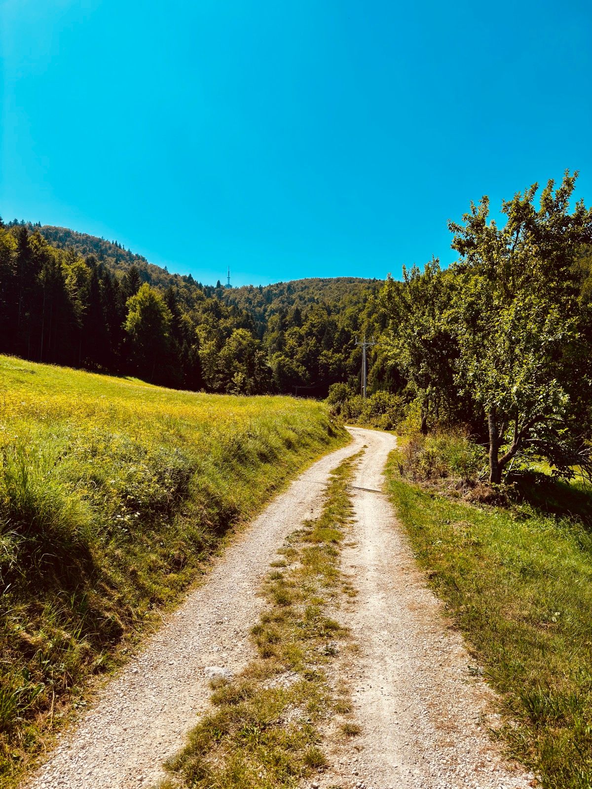 Ride Image 7