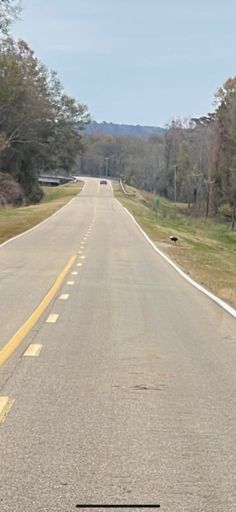 Bald eagle - first one I’ve ever seen in Alabama.