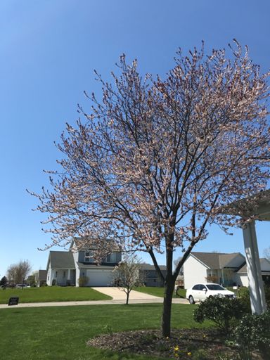 Another deceptively windy day