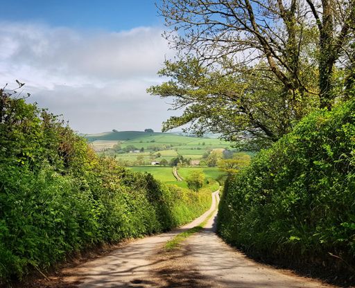 Caught the few sunbeams that popped through on camera📷