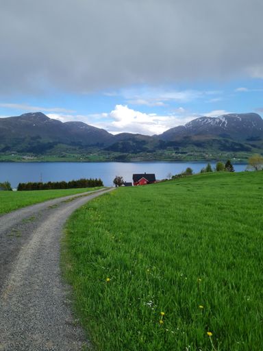 Her begynner og slutter all landeveissyklingene med ekte landevei. Perfekt!