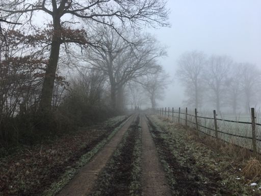 Zwischen Halstenbek und Appen