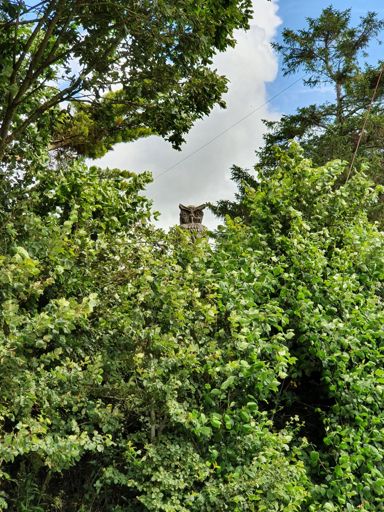 Holy 🦉 batman 😯