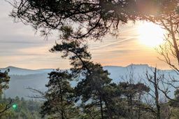 divagation à st Quirin