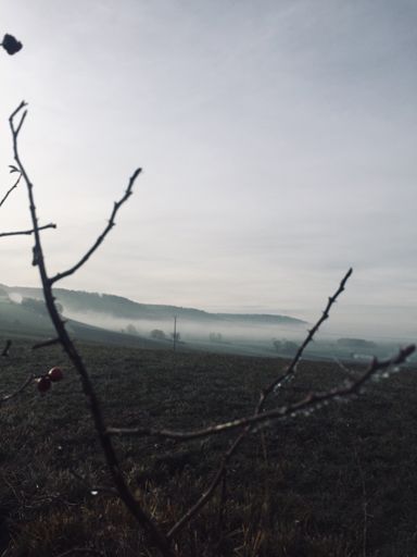 Der Nebel im Tal .. Dramatisch aber schön :)