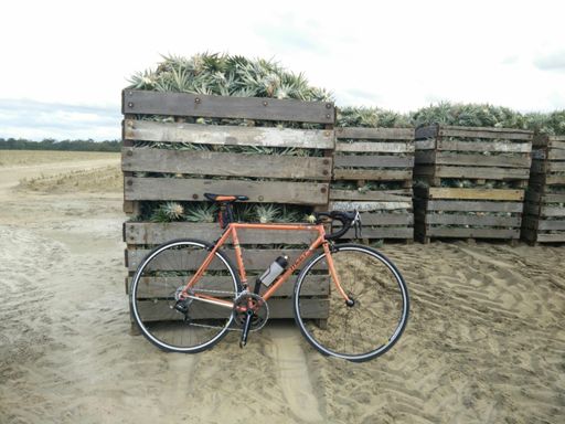 Pineapples and an orange