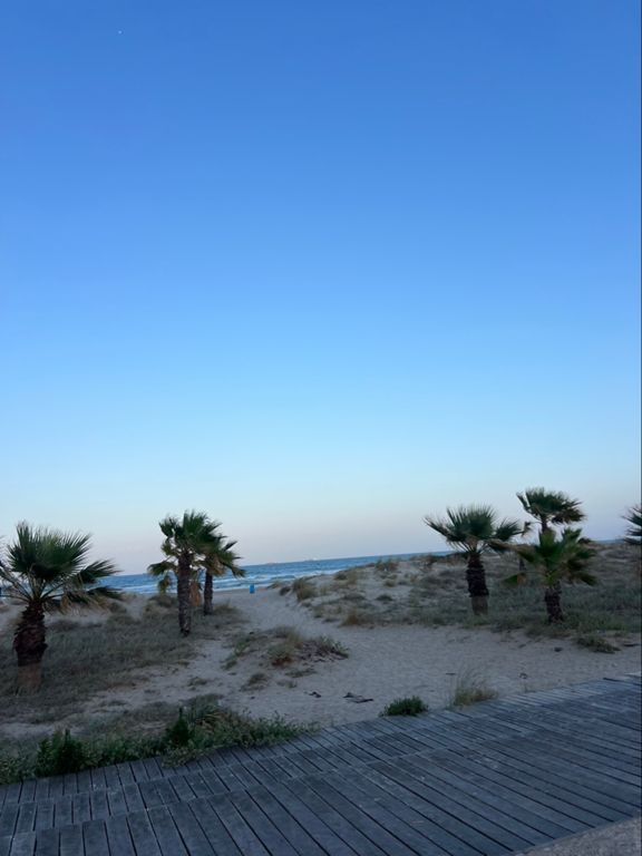 Entre ✈️ i ✈️, volteta pel Barrí 🌴🌊 !