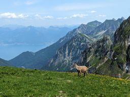 Dent et Roc d’Oche