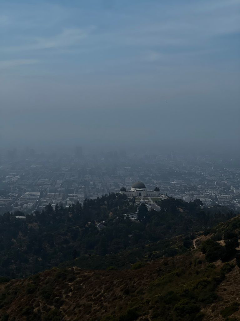 NBB run - Lake Hollywood: фото 111