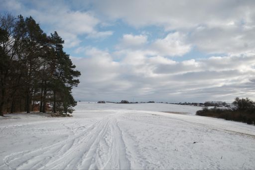 Przy Zgniłym Grzybie