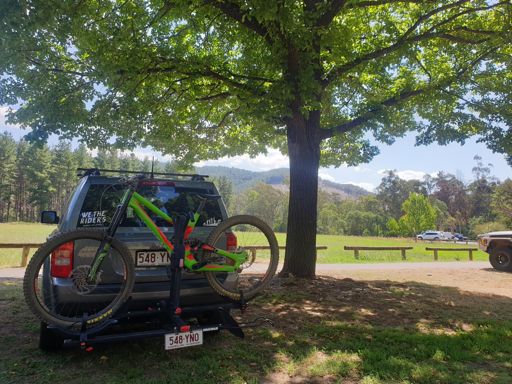 Bright's super green in summer