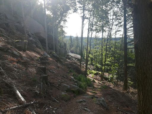Falkenfelsen Trail