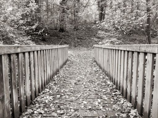 Holzbrücke Rodenbach