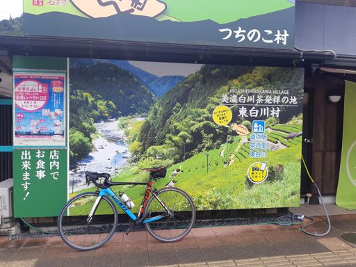 つちのこは発見に至らず。