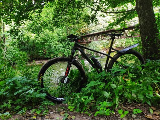 Neptune i jego naturalny habitat