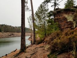 Course à pied matinale