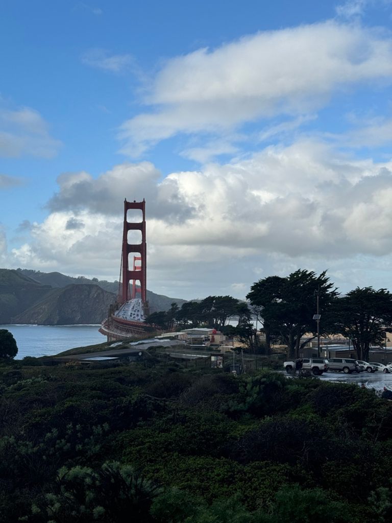 Butterlap (Presidio & Golden Gate Park) photo 142