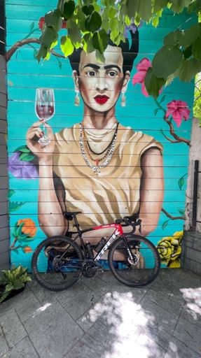 Frida από τα Lidl
