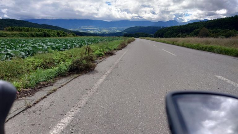 走っていて気落ち良い道😆