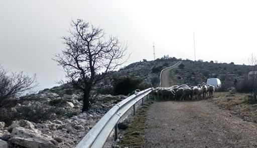 Blocage sur Bertagne par des gilets de laine !!
