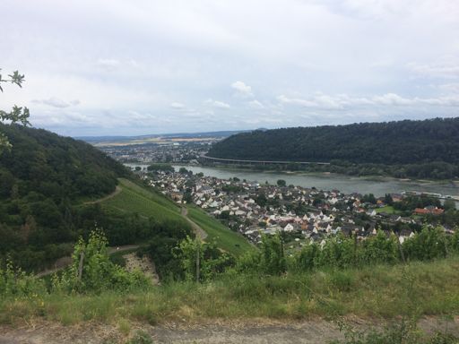 Im Weinberg eine Etage höher
