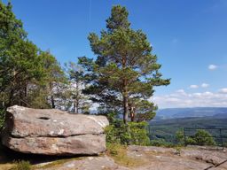 Trotte dans le Kemberg