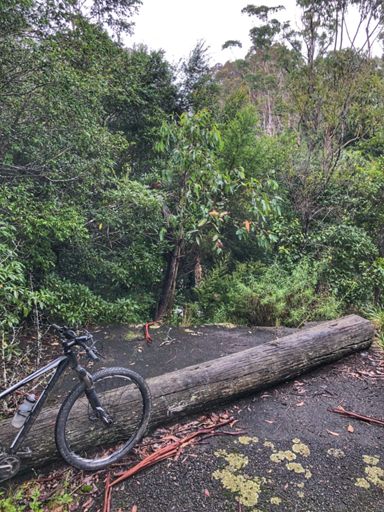 The “no through road” sign was telling the truth