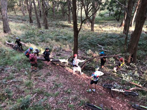 How many guys does it take to move a log?