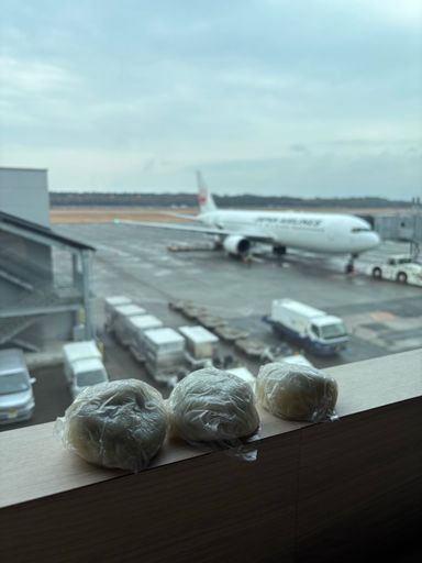 もっこすソウルフード