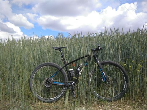 Vaya como tengo este año la cebá...