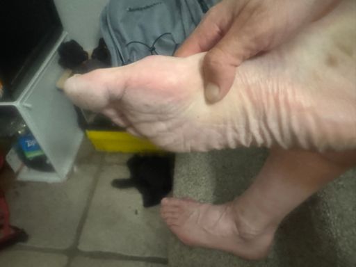 Wet all day from rain or humidity, some bad trench foot by the end of the