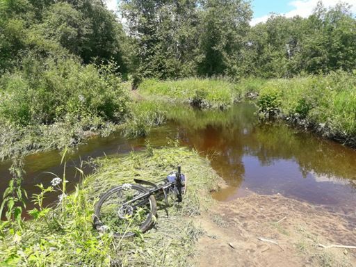 В прошлом году тут шаткий мостик-кладочки из бревнышек был. Сейчас смыло...