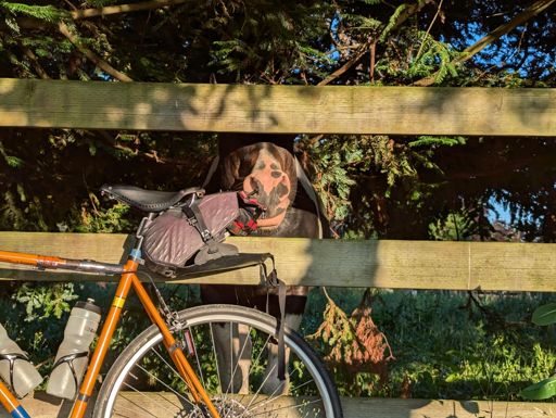 A horse wandered over and started eating my bike while we were dealing with James's flat.
